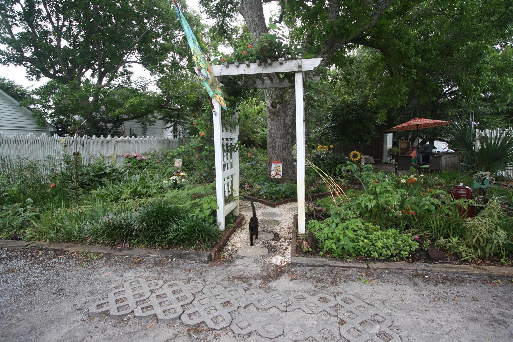 Pecan Tree Inn Beaufort Εξωτερικό φωτογραφία